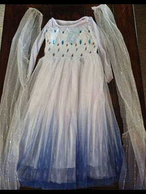 Girls White and Blue Sparkle Tulle Princess Costume